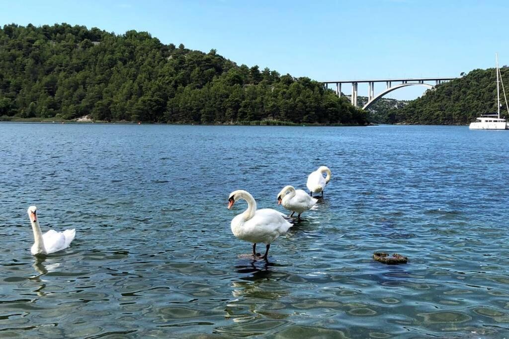 Family House Scardona - Dreams By The River Krka Skradin Exterior foto